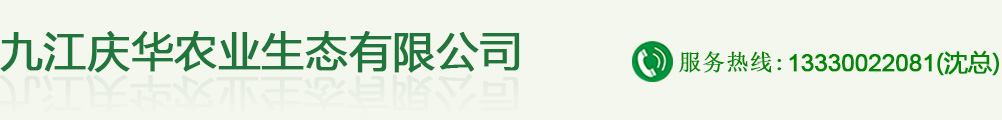 九江庆华农业生态有限公司,乌桕杯苗,香樟杯苗,枫香杯苗,木荷杯苗,无患子苗,湿地松杯苗 